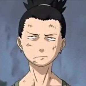 Meet your Posher, Eli